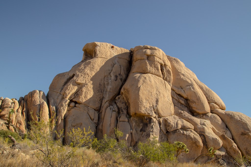 A photo of Jesse nearing the top of a huge boulder on a route called, the flake. It is so massive, Jesse looks like a tiny ant.