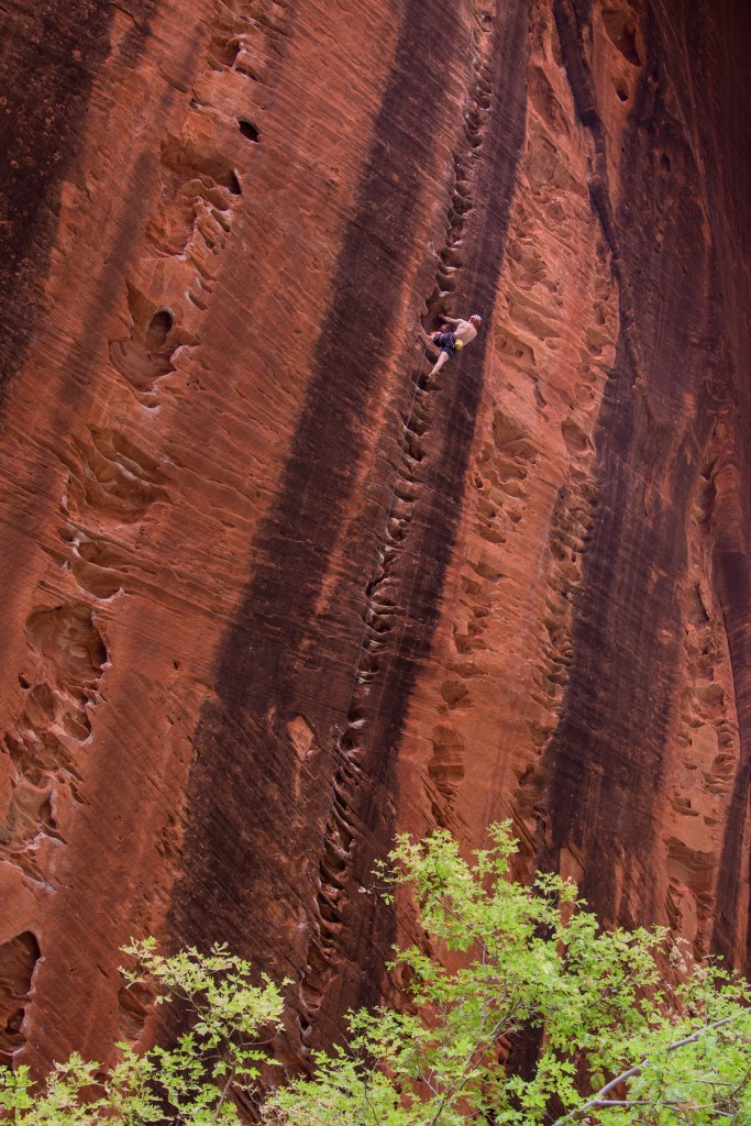 A photo of Jesse half way up a very steep rock face. The rock face is very unusual in that there is only a single line of holes which form the climbing route, with either side blank. 