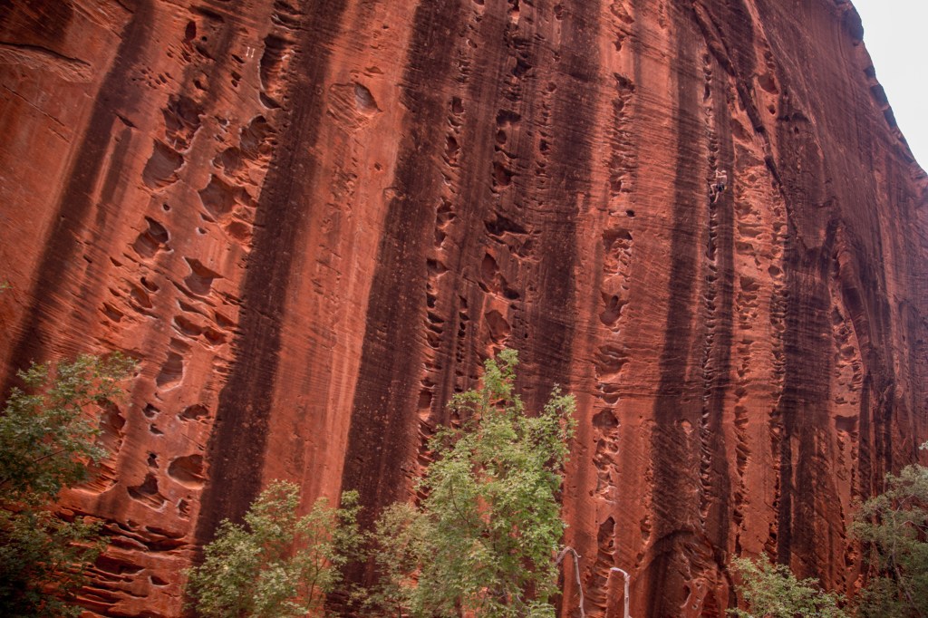 A photo showing a steep wall of rock, with vertical lines of huecos and vertical stripes of bright red and dark grey rock. The wall is tall and Jesse is 3 quarters of the way up.
